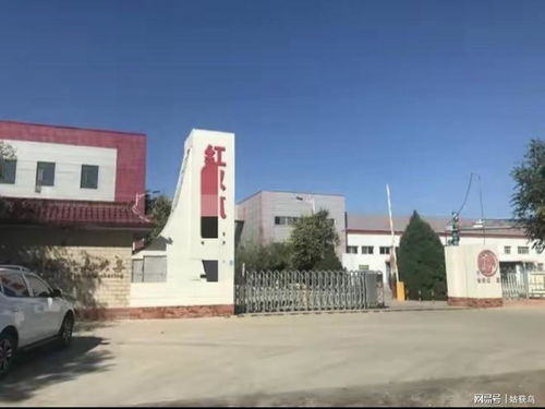 恭喜 銀川市有一座大型工廠第二次拍賣,被人以536.6萬元競得