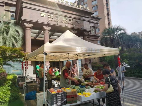 高溫天,這個市集把平價菜 優質農產品送到居民家門口