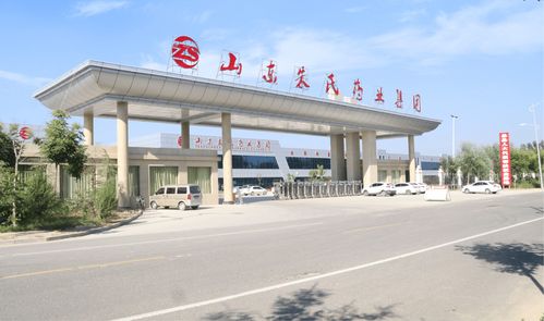 朱氏堂頸肩腰腿痛綜合型貼膏