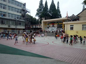 教科學子調研滁州市幼兒園課程體系建設情況