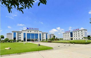 湖北日報頭版頭條 仙桃企業從 汗水型 向 智慧型 轉變