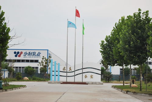 漯河市永利食品