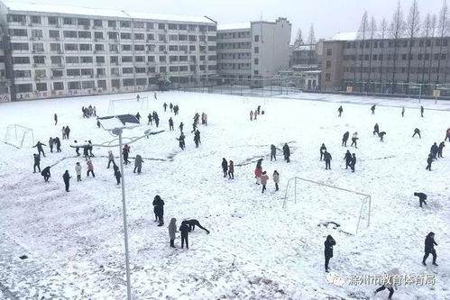 最美的雪,落在校園