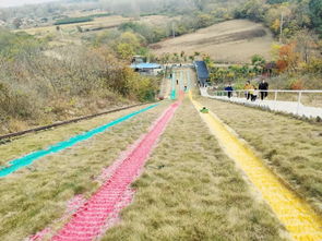 鳳陽(yáng)府城明珠幼兒園滁州八嶺湖親子研學(xué)游