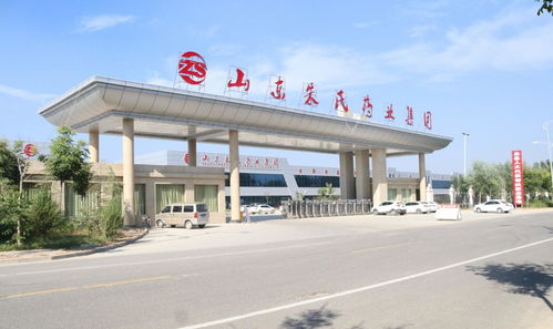 山東朱氏藥業集團 膏藥貼產品市場的領導者