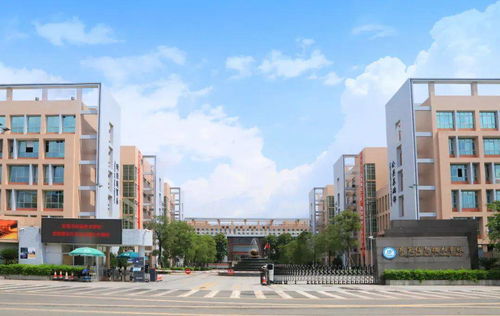 年薪20萬 東莞信息技術學校招教師公告