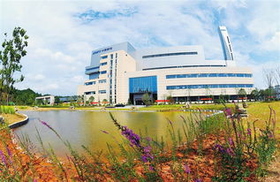 創衛,讓贛州更美好